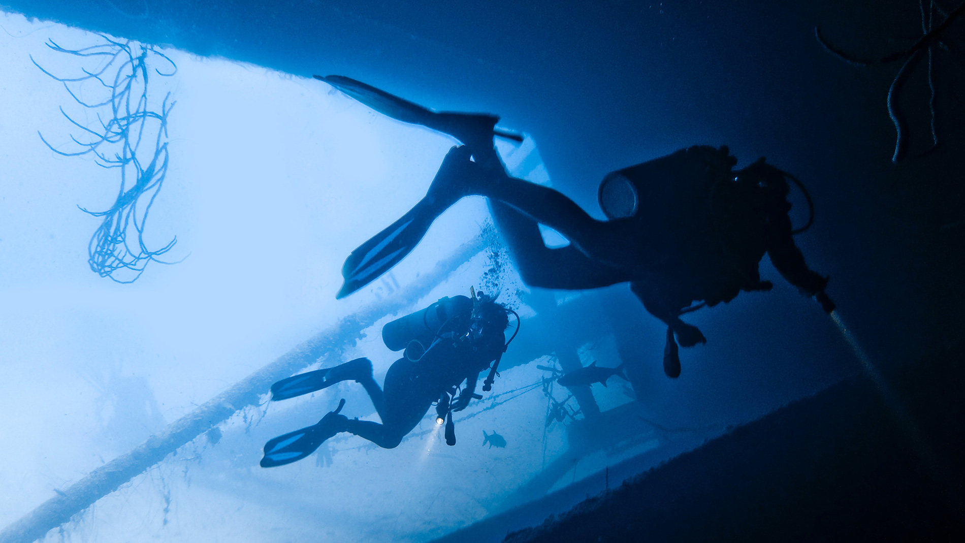 Scuba diving travel insurance Take the plunge with travel insurance