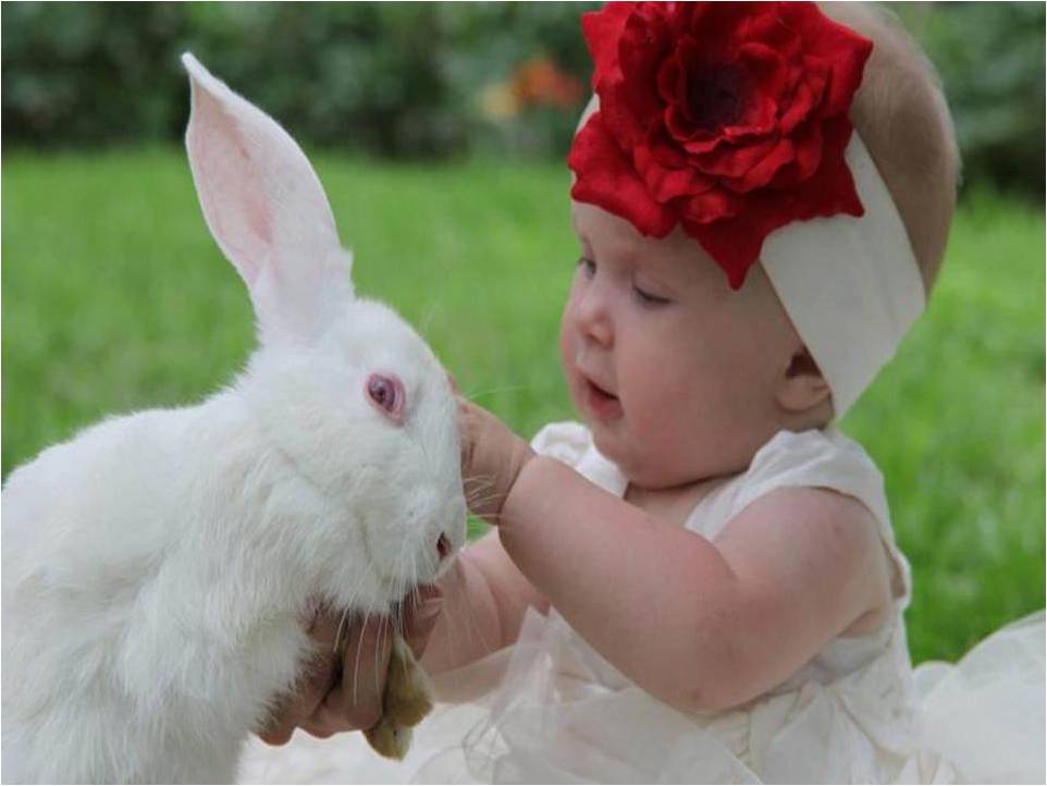 Dix raisons pour lesquelles votre enfant devrait avoir un