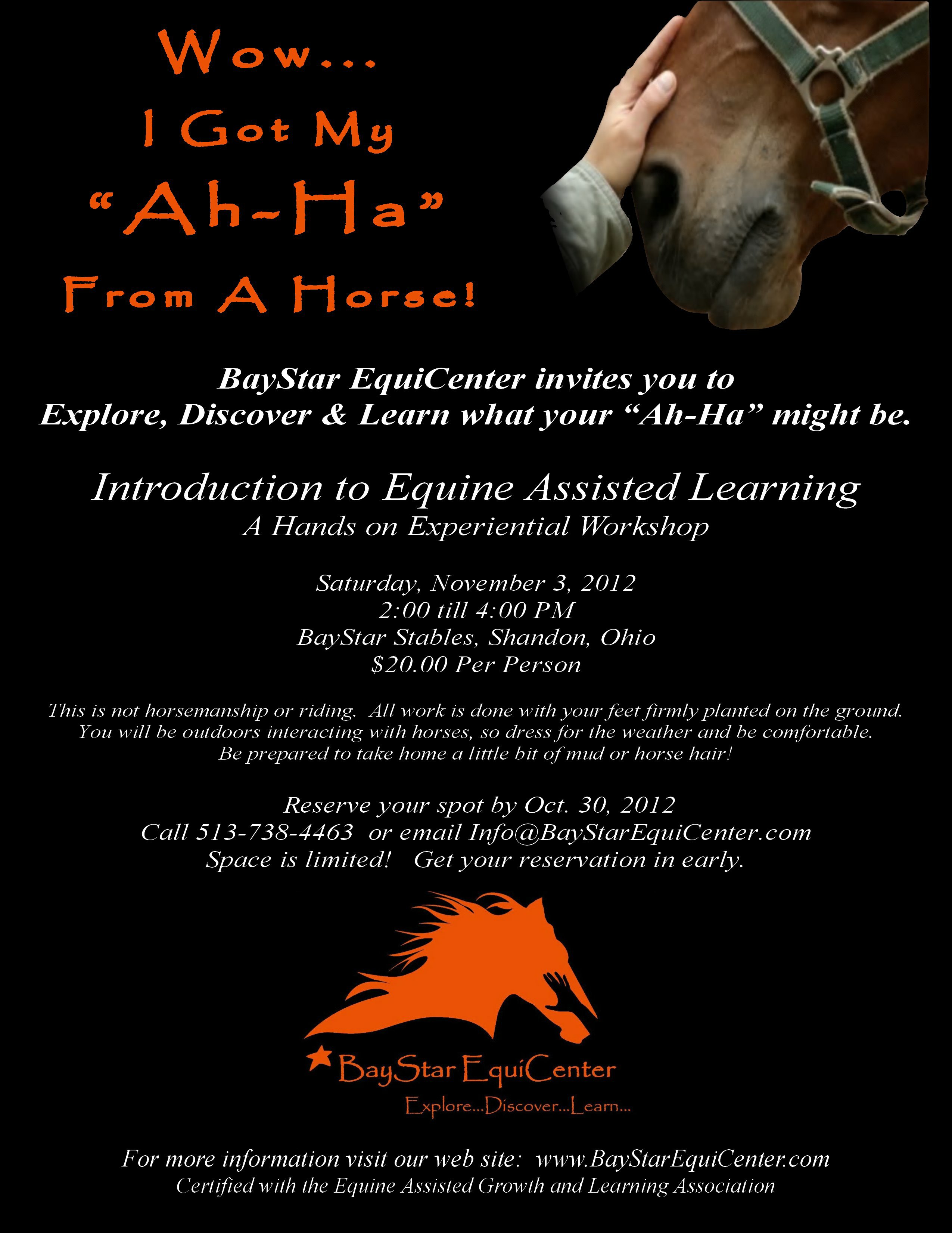 What is Equine Assisted Learning?