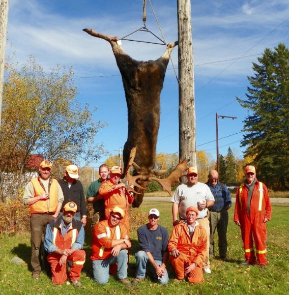 Shining Tree, North East Ontario Bay Wolf Camp