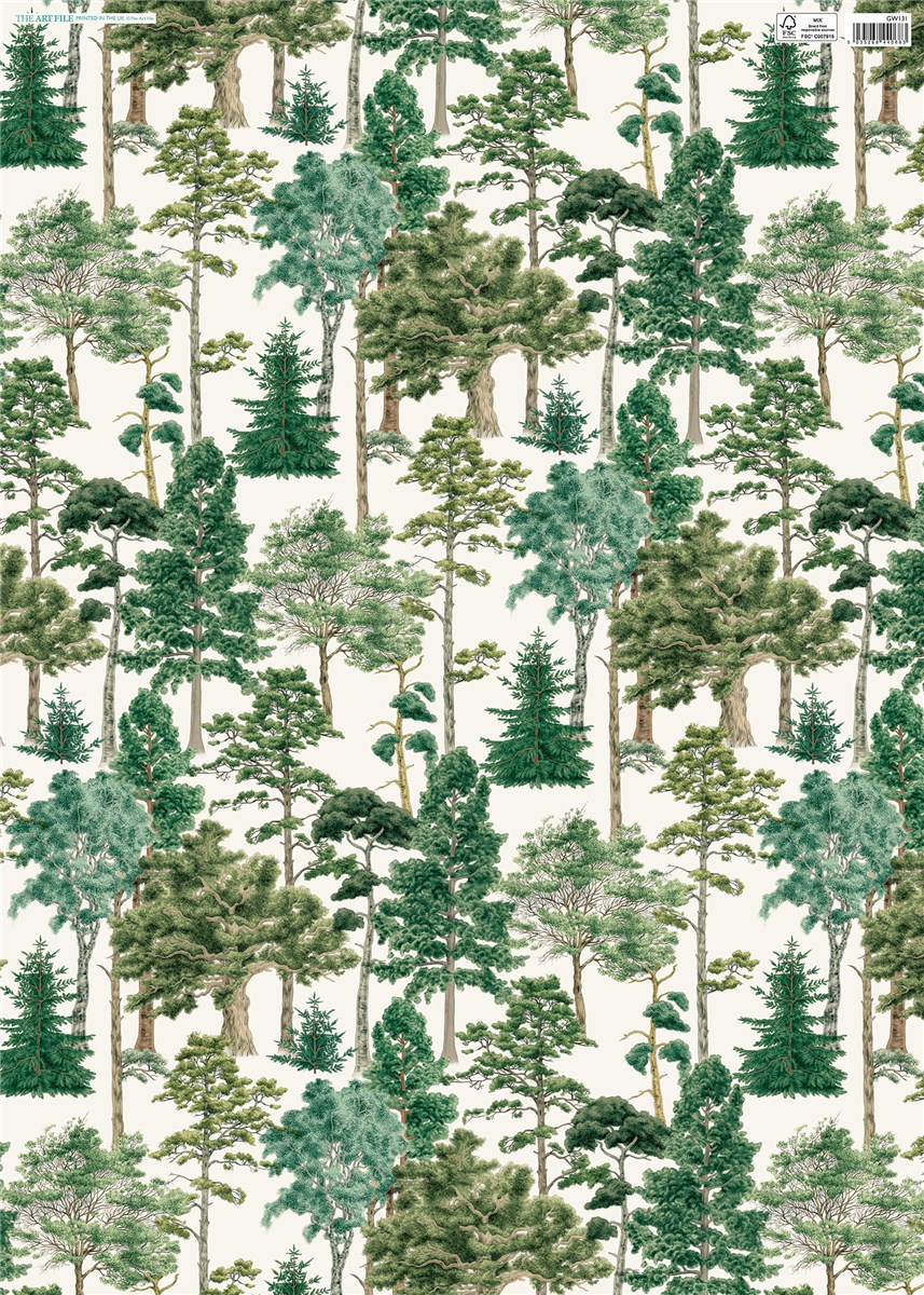 ART FILE Wrapping Paper Major Oak Forest Bazaar Barnstaple