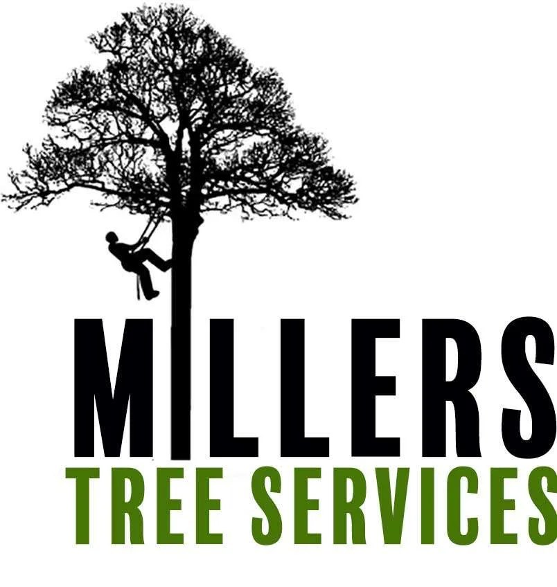 Millers Tree Services Better Business Bureau® Profile