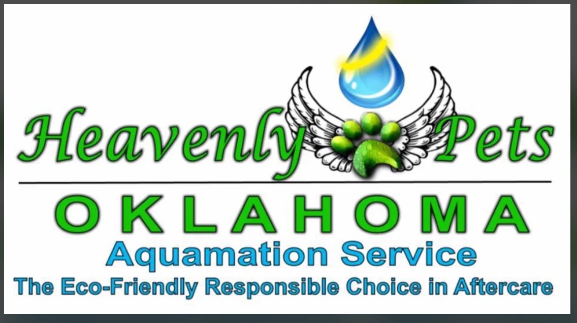 Pet Boarding Near Me BBB Start with Trust®