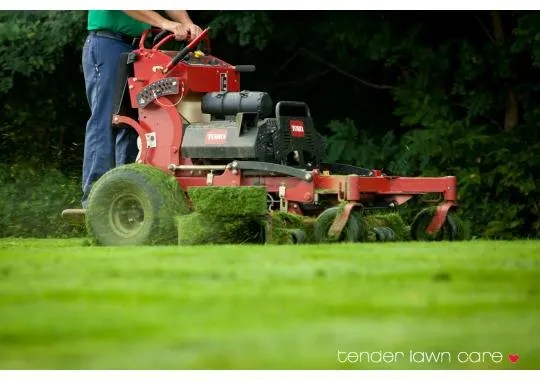Tender Lawn Care Better Business Bureau® Profile