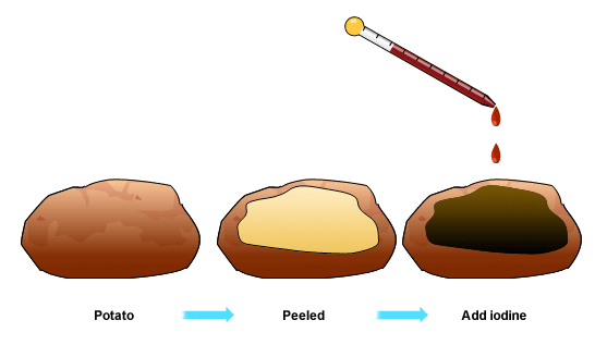 IGCSE Biology 2.7 Describe the tests for glucose and starch