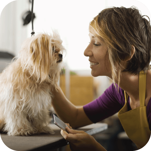 Beauty and Brains Grooming and Training Citrus Heights' Premiere