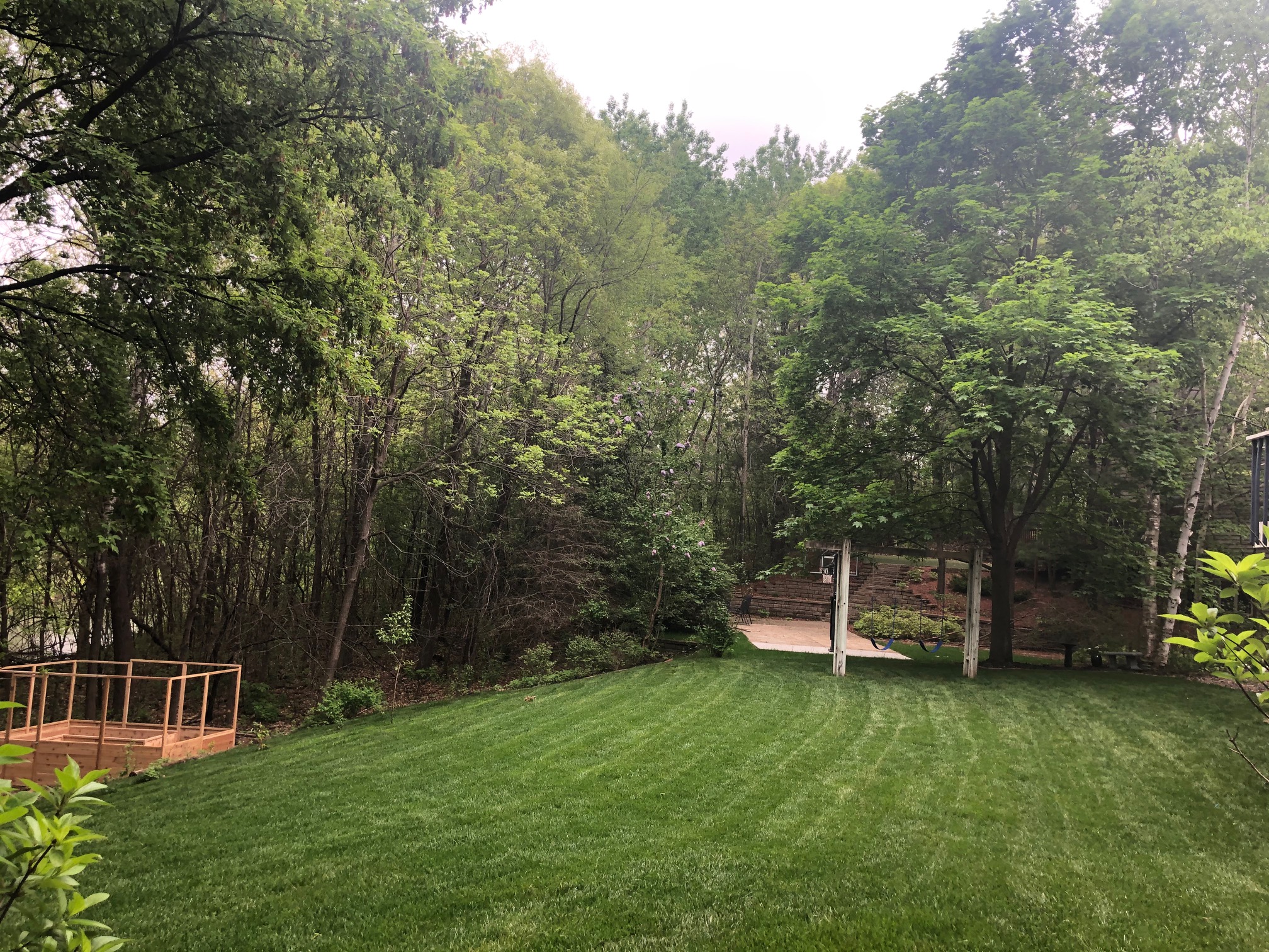 Gallery BB Hoffmansod