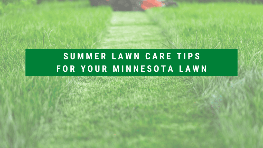 Summer Lawn Care Tips for Your Minnesota Lawn BB Hoffmansod