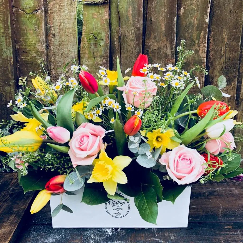 Vintage Spring Container BBL design