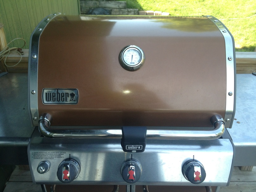 Weber Genesis Gas Grill Smoking Bbq Revolution