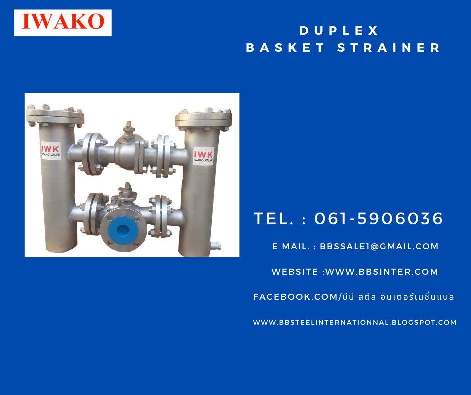 Duplex Strainer Catalogue IWAKO Linebbsinter