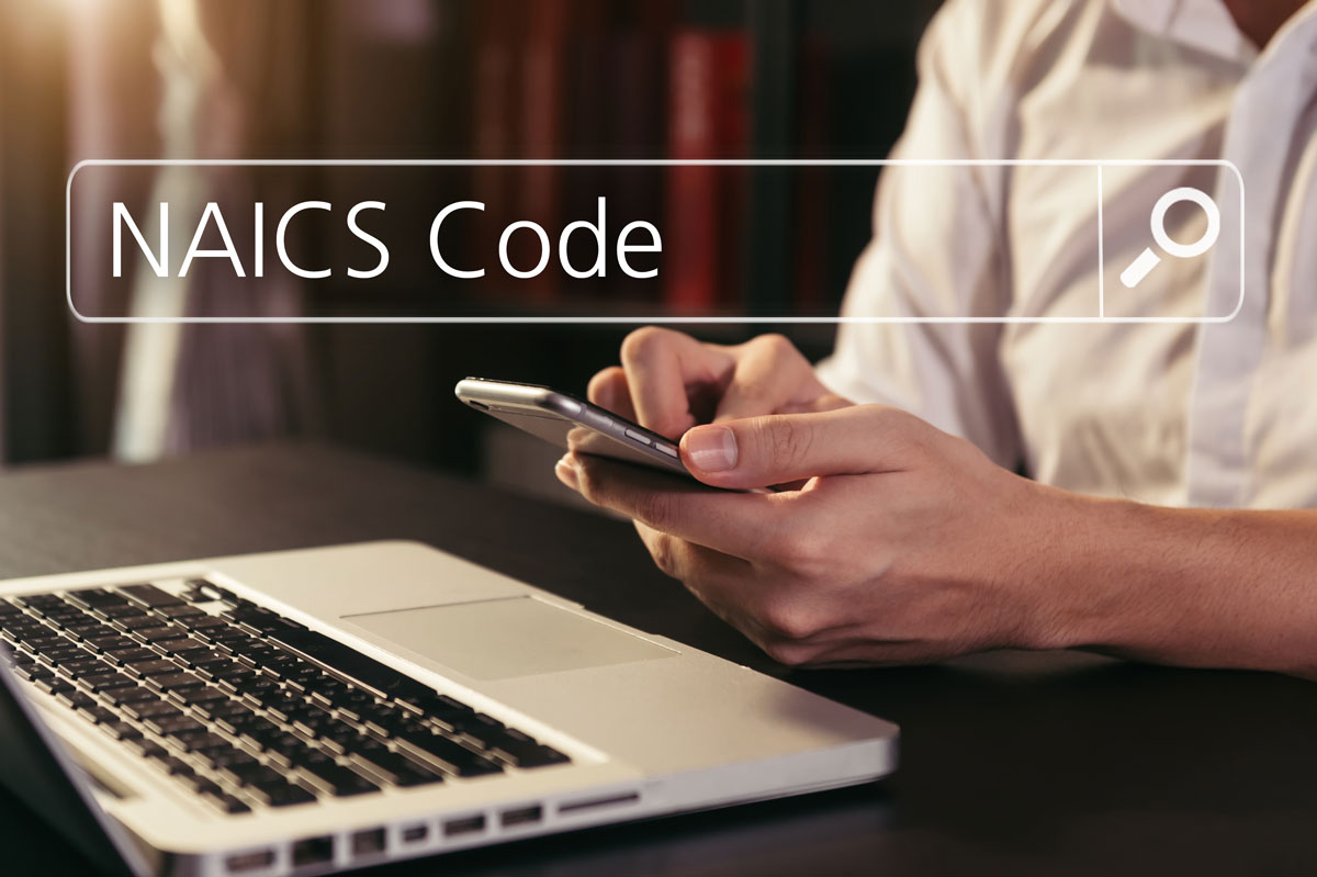 No Limit on the NAICS Codes you search for new Federal, State and Local