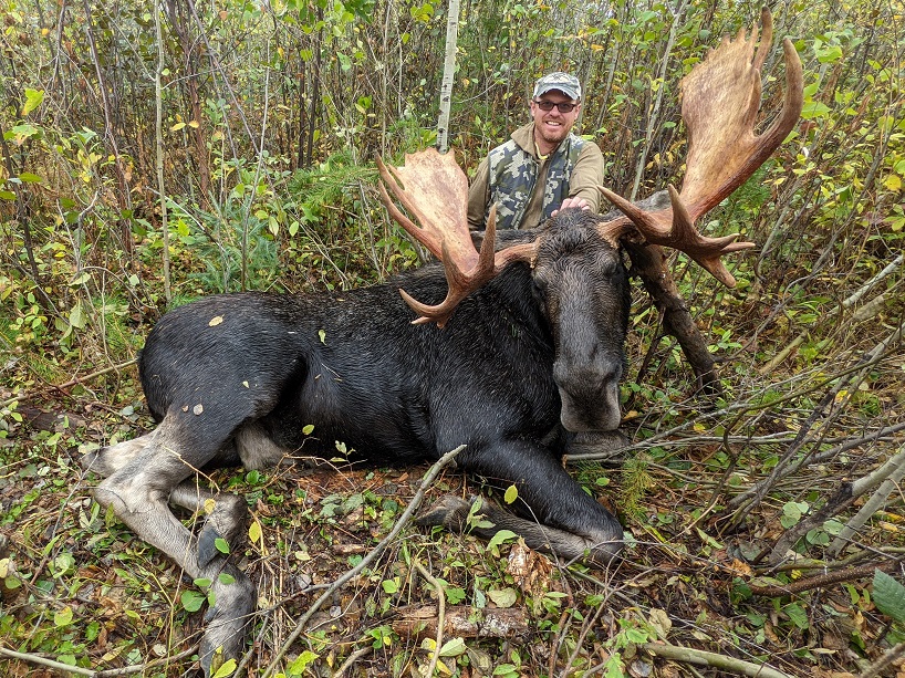 Moose Hunting in BC Book a BC Moose Hunt BC Moose Hunting