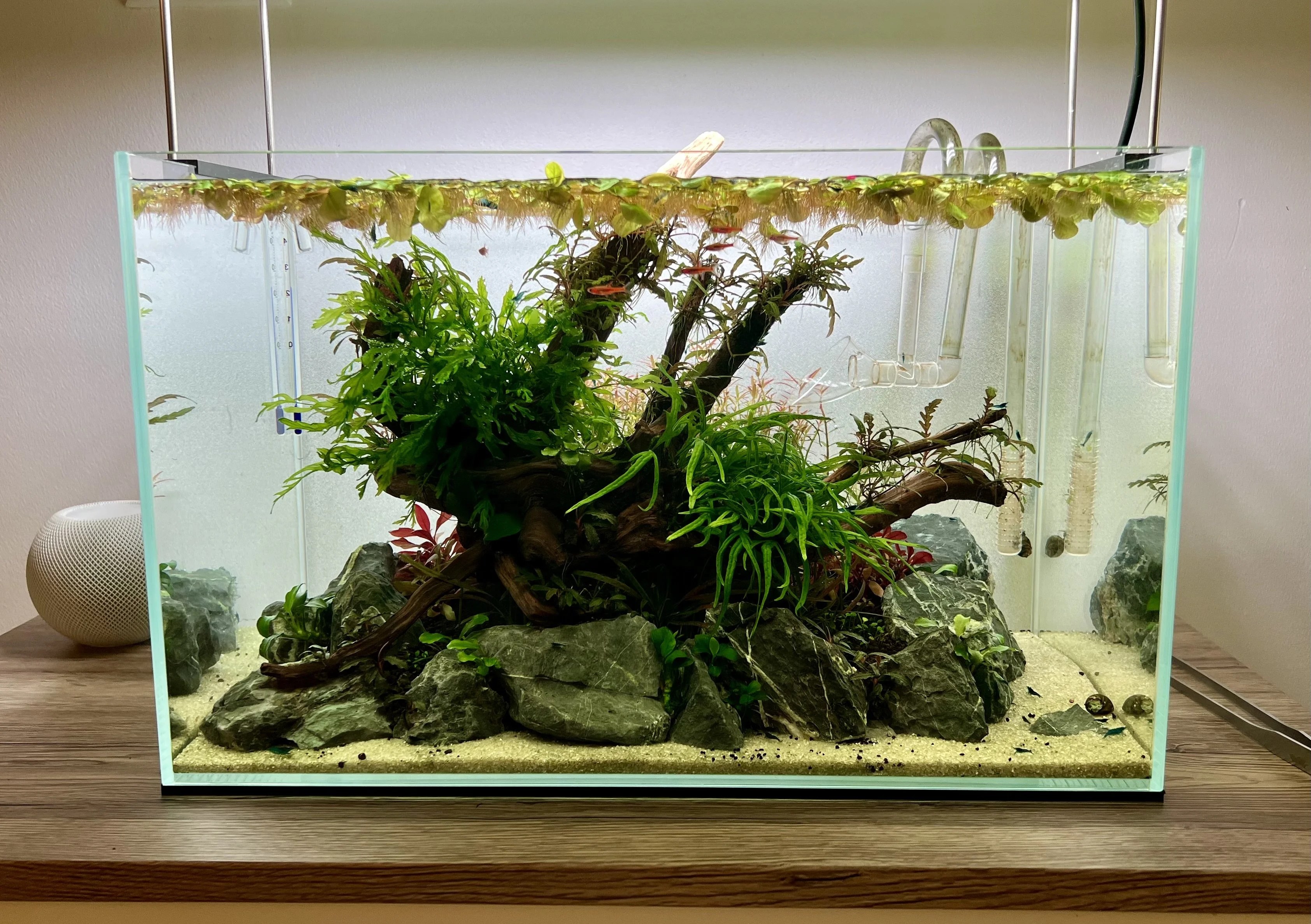 10 gallon HighTech "IslandStyle" aquascape including all equipment