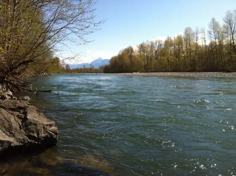 Vedder / Chilliwack River Fishing Locations BC Fishing Journal
