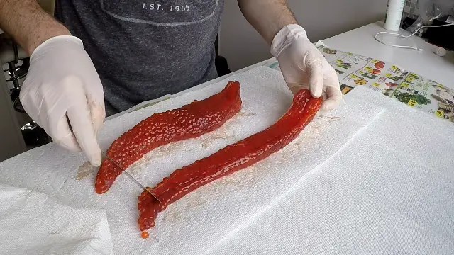 How to Cure Salmon Eggs with Borax, Sugar & Salt (321 Recipes) BC