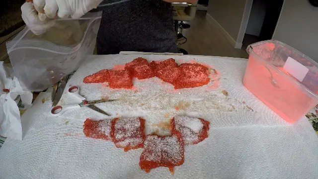 How to Cure Salmon Eggs with Borax, Sugar & Salt (321 Recipes) BC