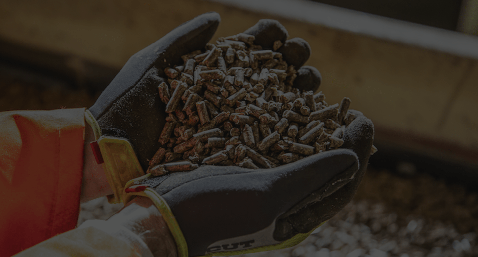 Wood Pellets & MDF The BC Forest Safety Council