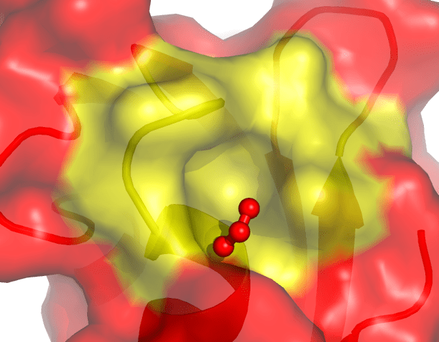 Pymol Tutorial