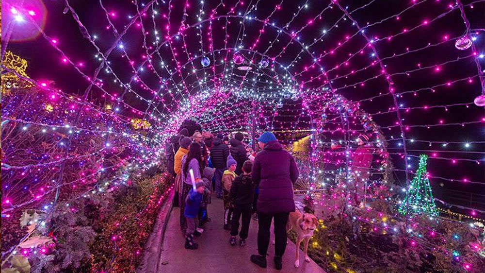 10 Places to See Holiday Lights in Metro Vancouver BC Living