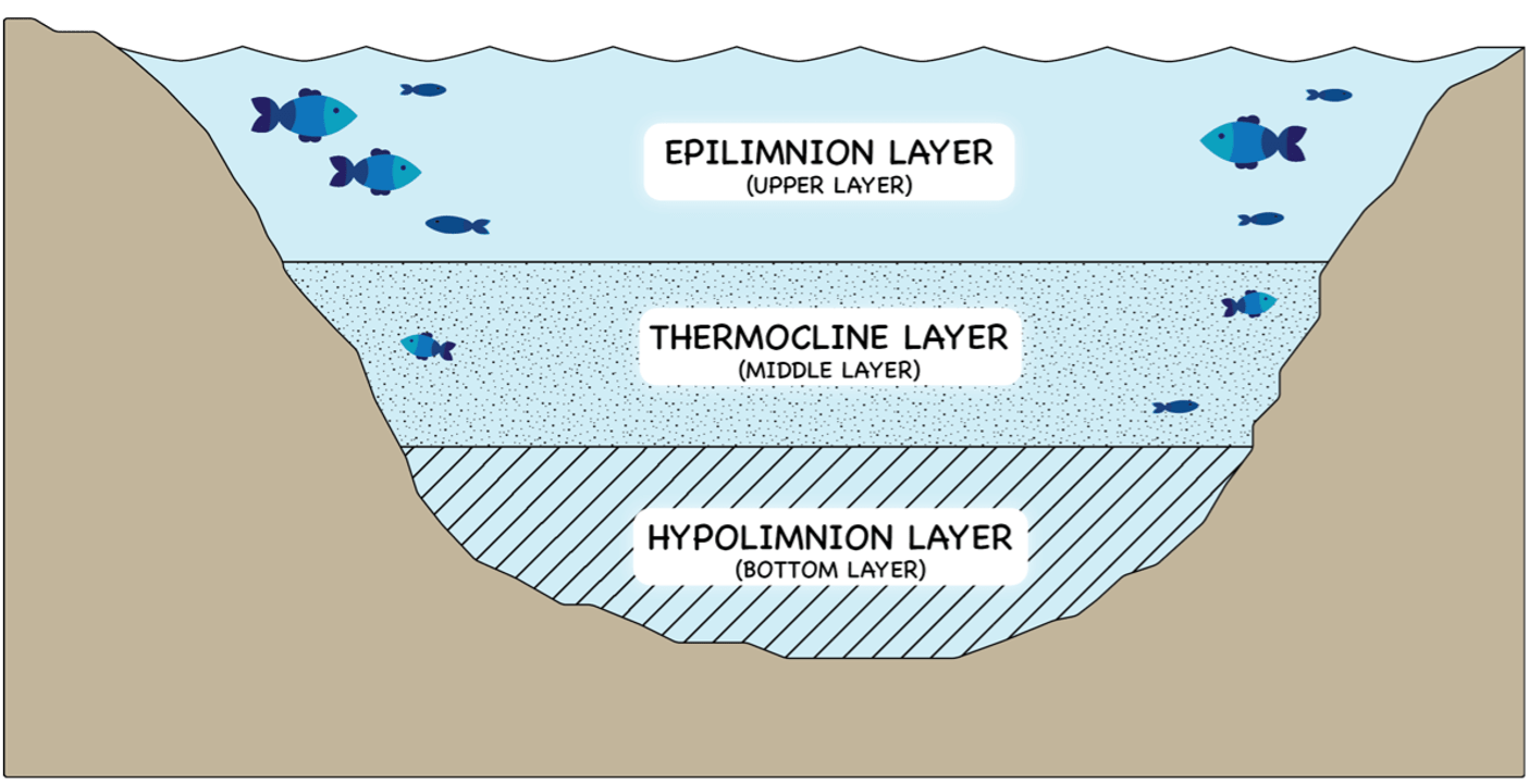 The Importance of Measuring Dissolved Oxygen and Temperature in Lakes