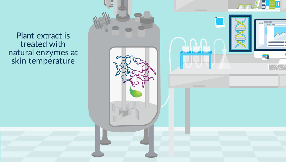 Bio Component Research USA