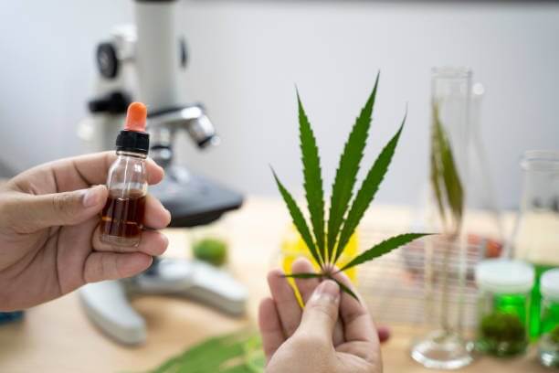 The 3 most popular CBD extraction methods BC Seeds