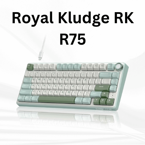 Royal Kludge RK R75 - Hot Swappable - RGB