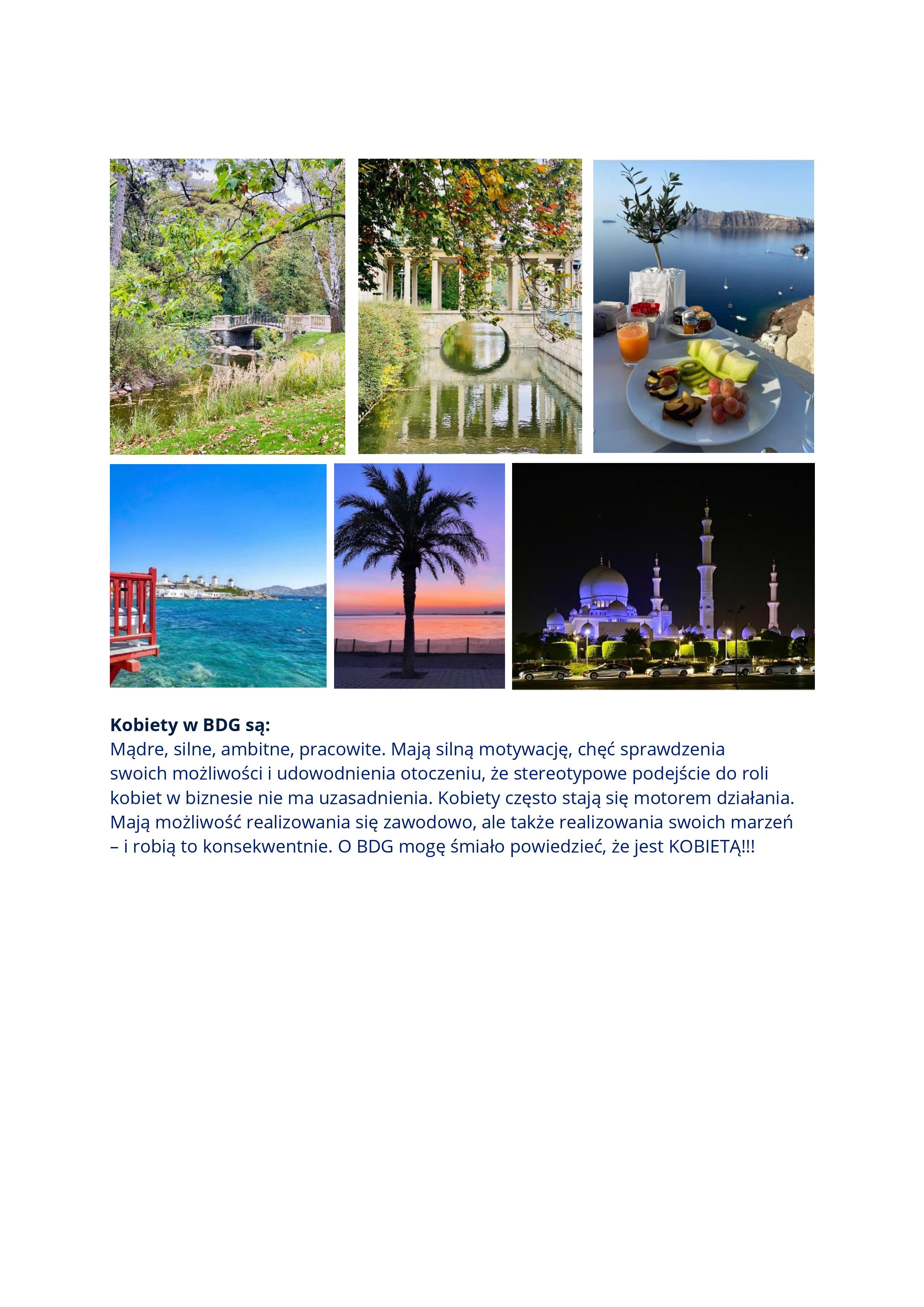 3 Brand Distribution