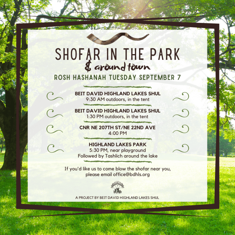 Shofar In The Park Beit David Highland Lakes Shul