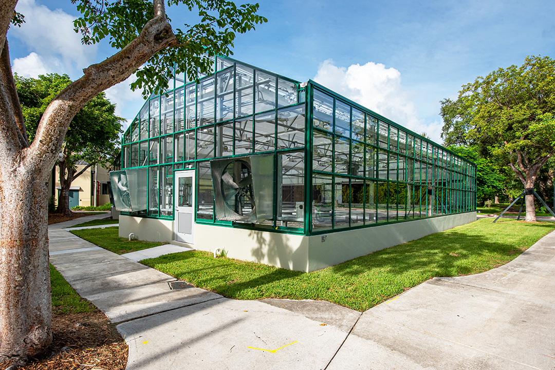 UNIVERSITY OF MIAMI GREENHOUSE BDI Construction