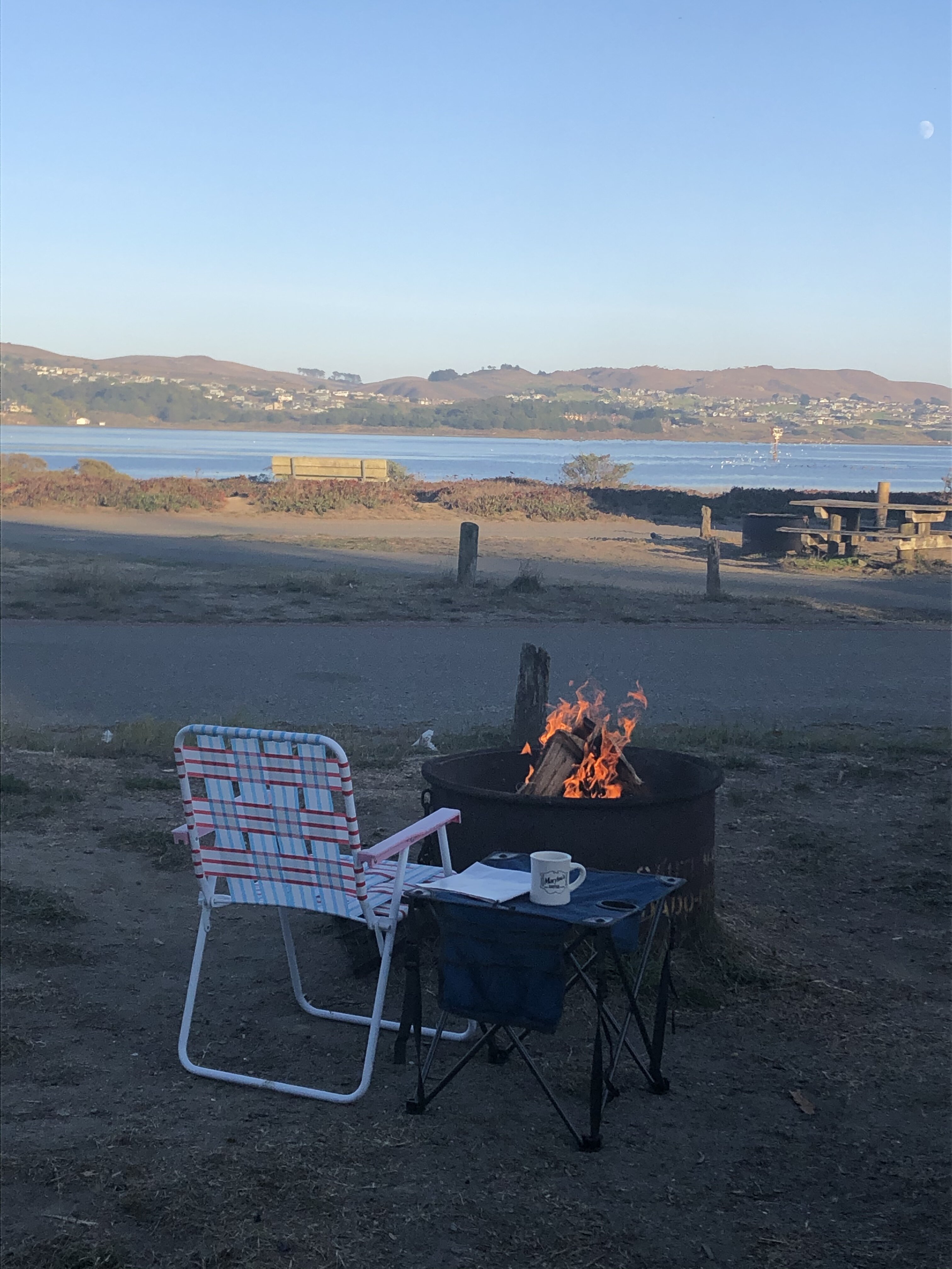 Bodega and north beaches advice Bloodydecks