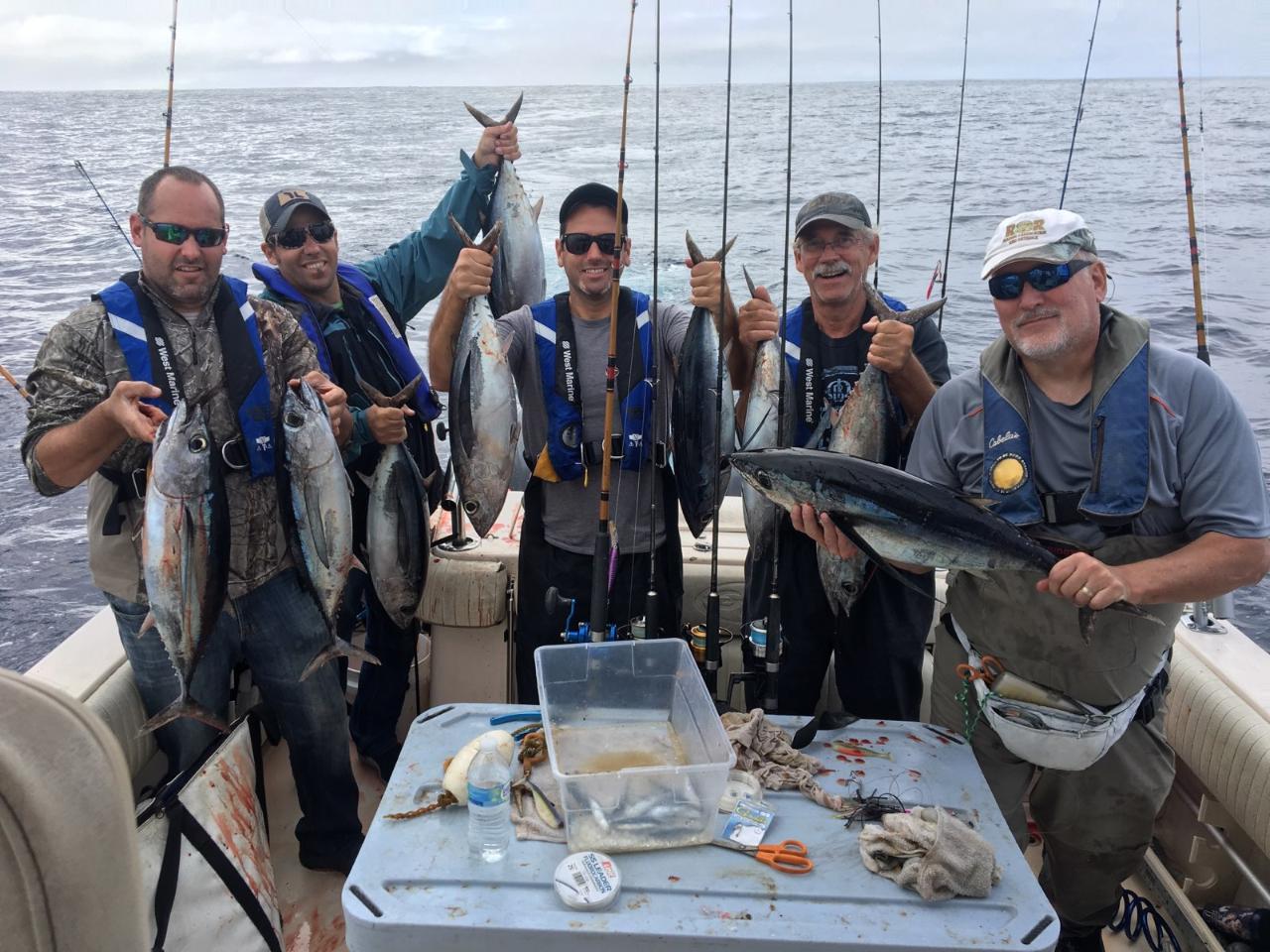 Tuna On the Fly Garibaldi Bloodydecks