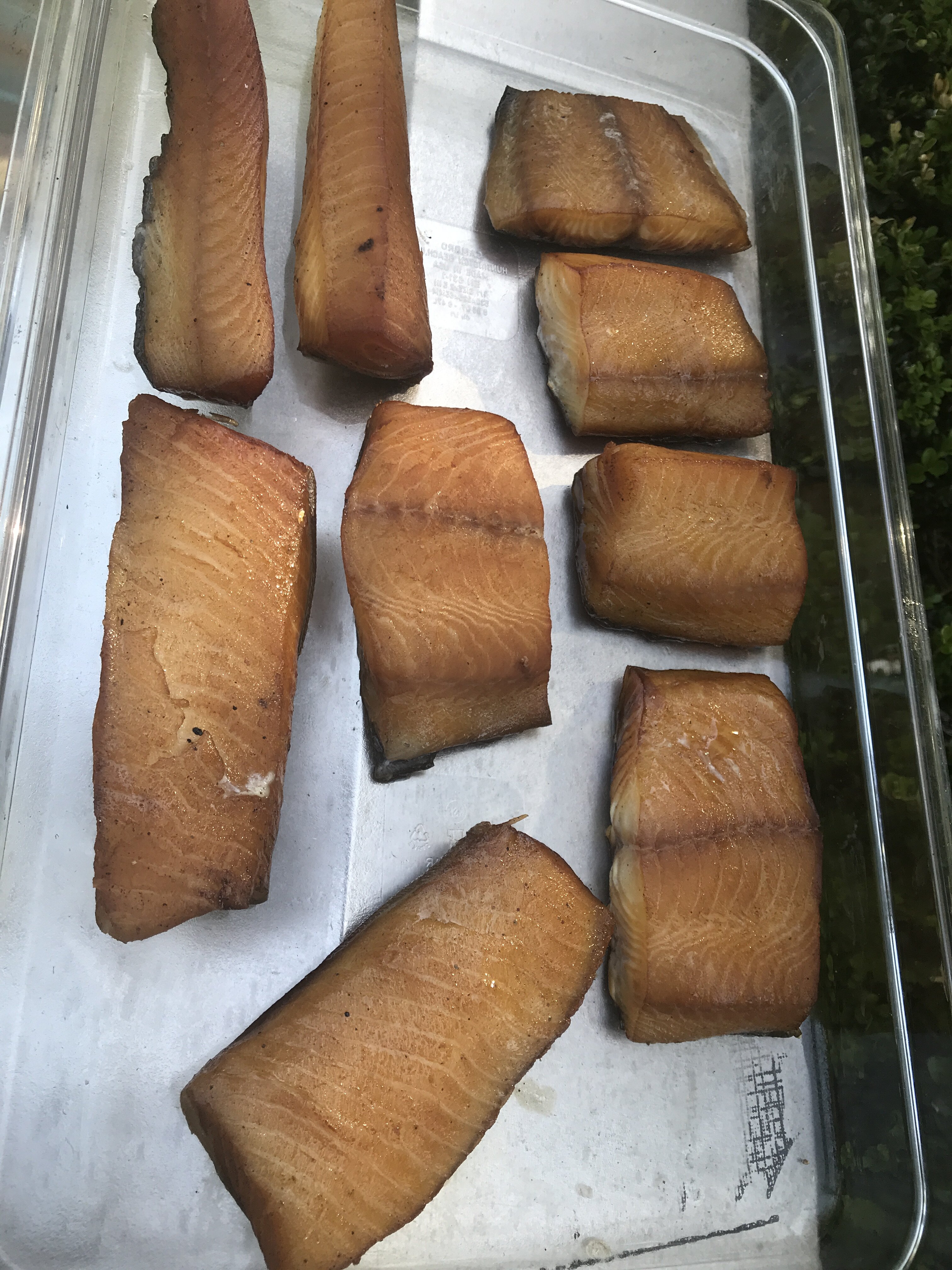 Dry brine smoked salmon Bloodydecks