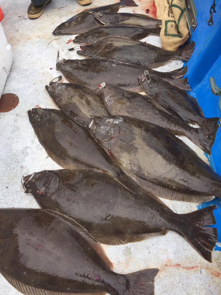 Halibut in SF Bay Bloodydecks