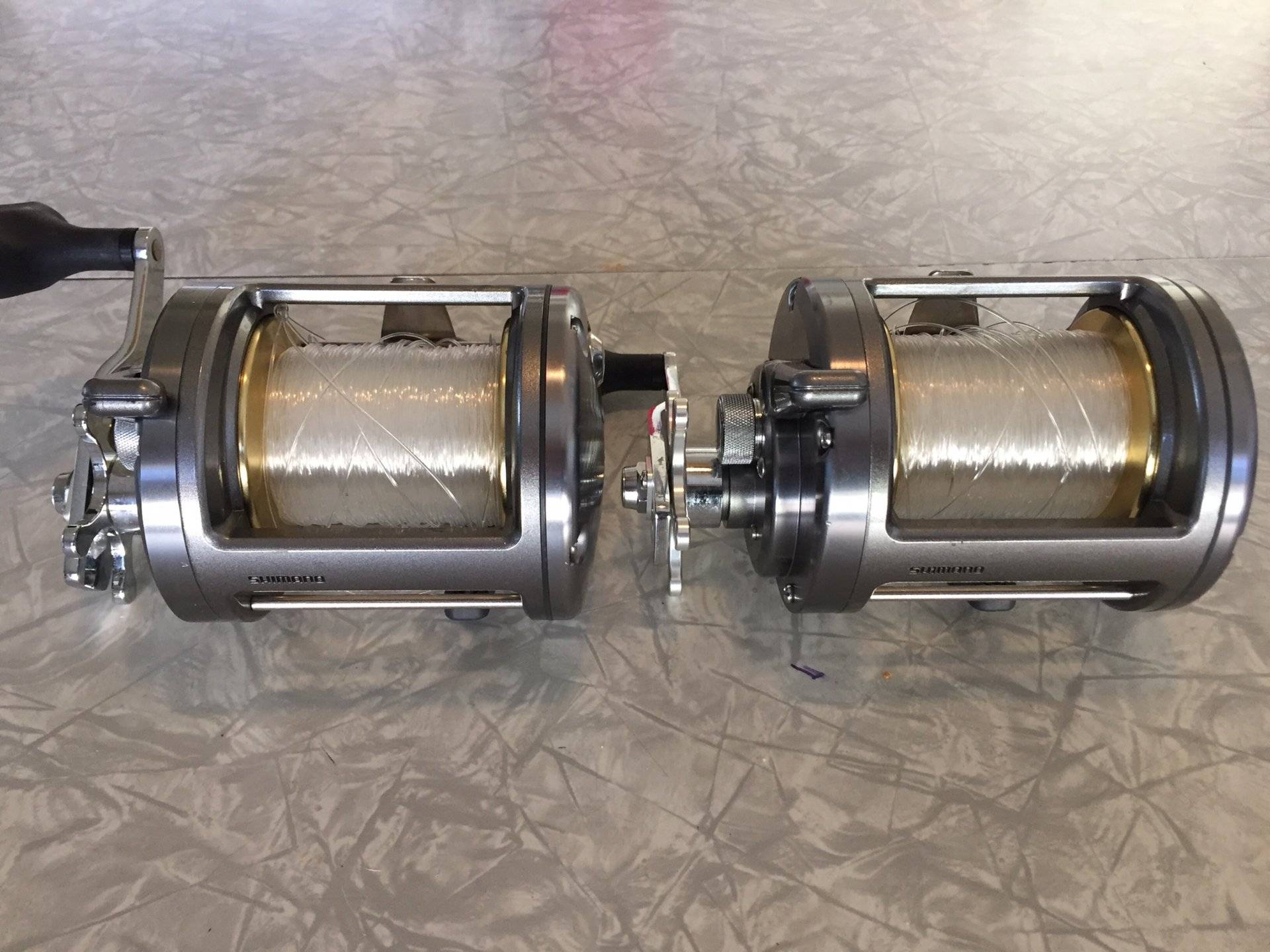 Shimano Tekota 800 | Bloodydecks