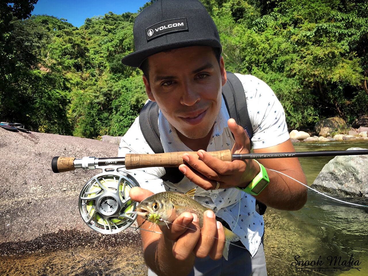 Tropical trout PV MEXICO Bloodydecks