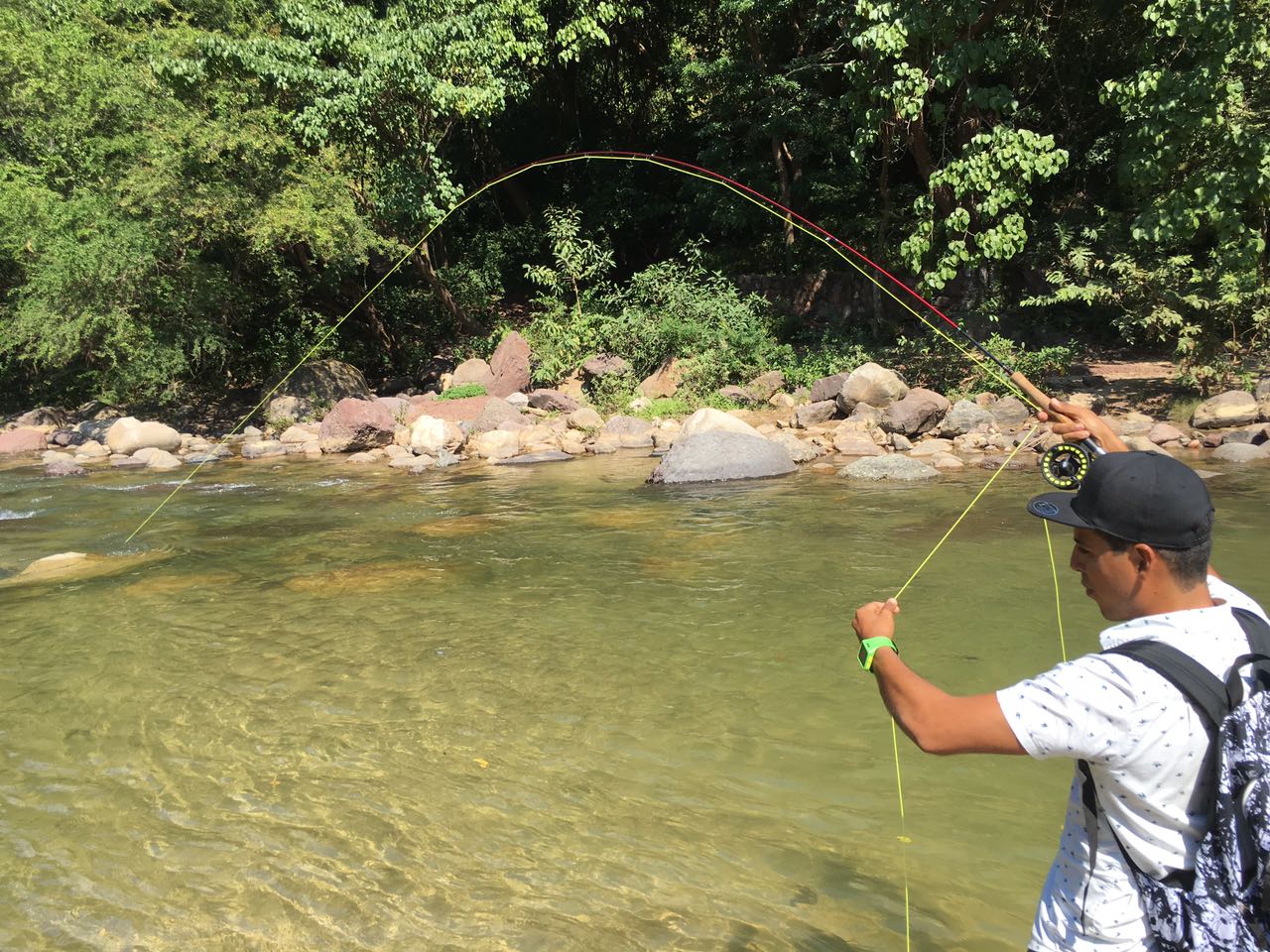 Tropical trout PV MEXICO Bloodydecks