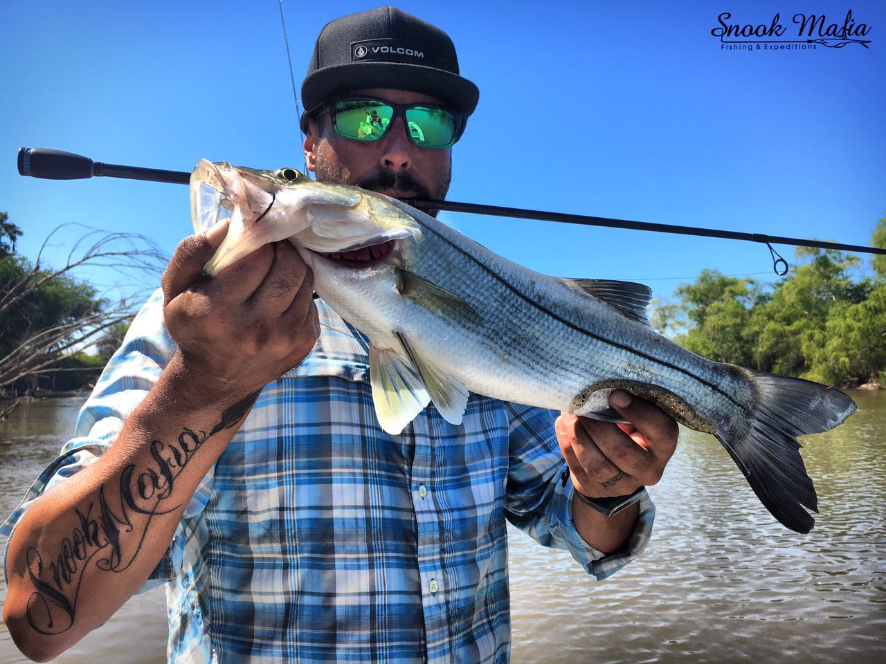 Snook season is on!!! Bloodydecks