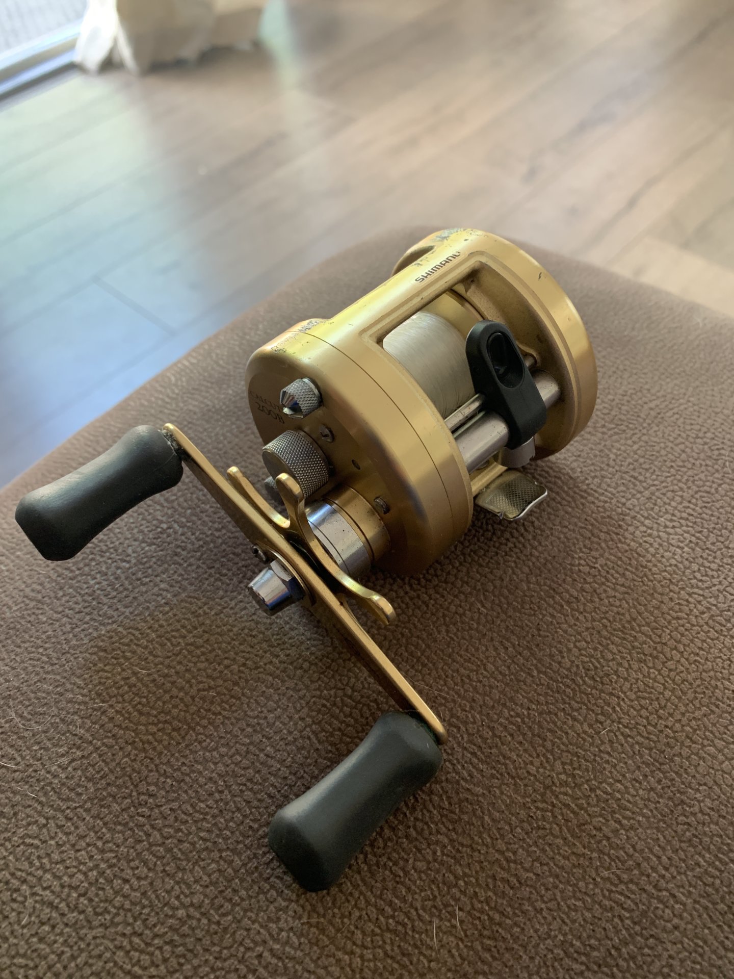 Shimano Calcutta 200B | Bloodydecks