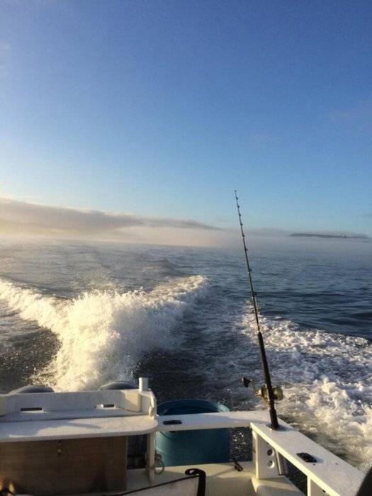 Sunday July 6th Tuna Depoe Bay Bloodydecks