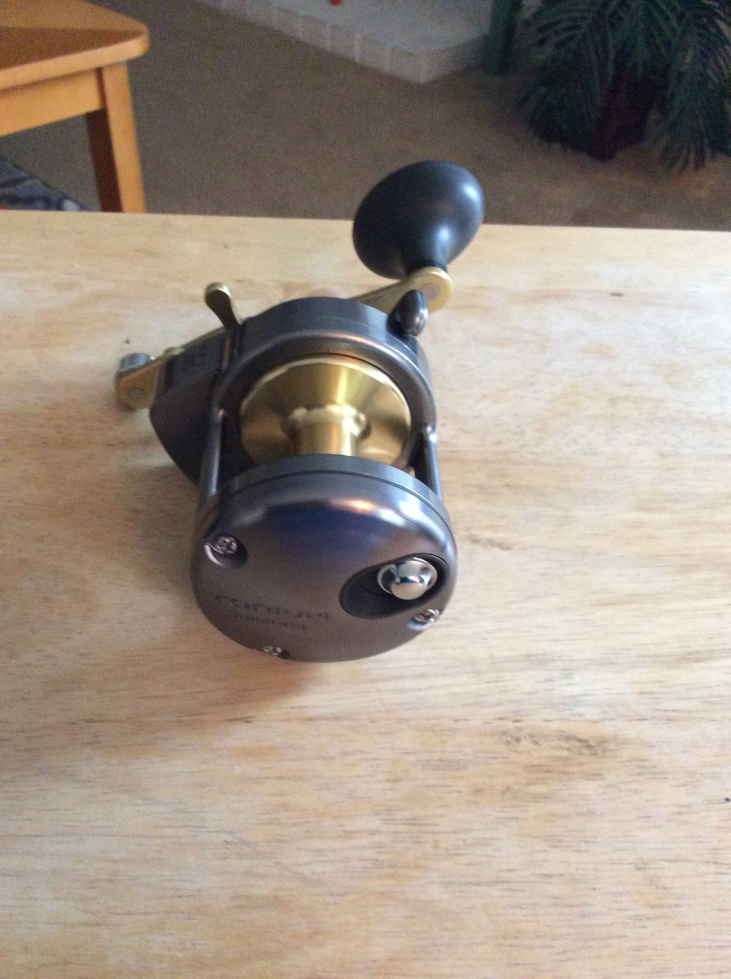Shimano Torium 14 | Bloodydecks