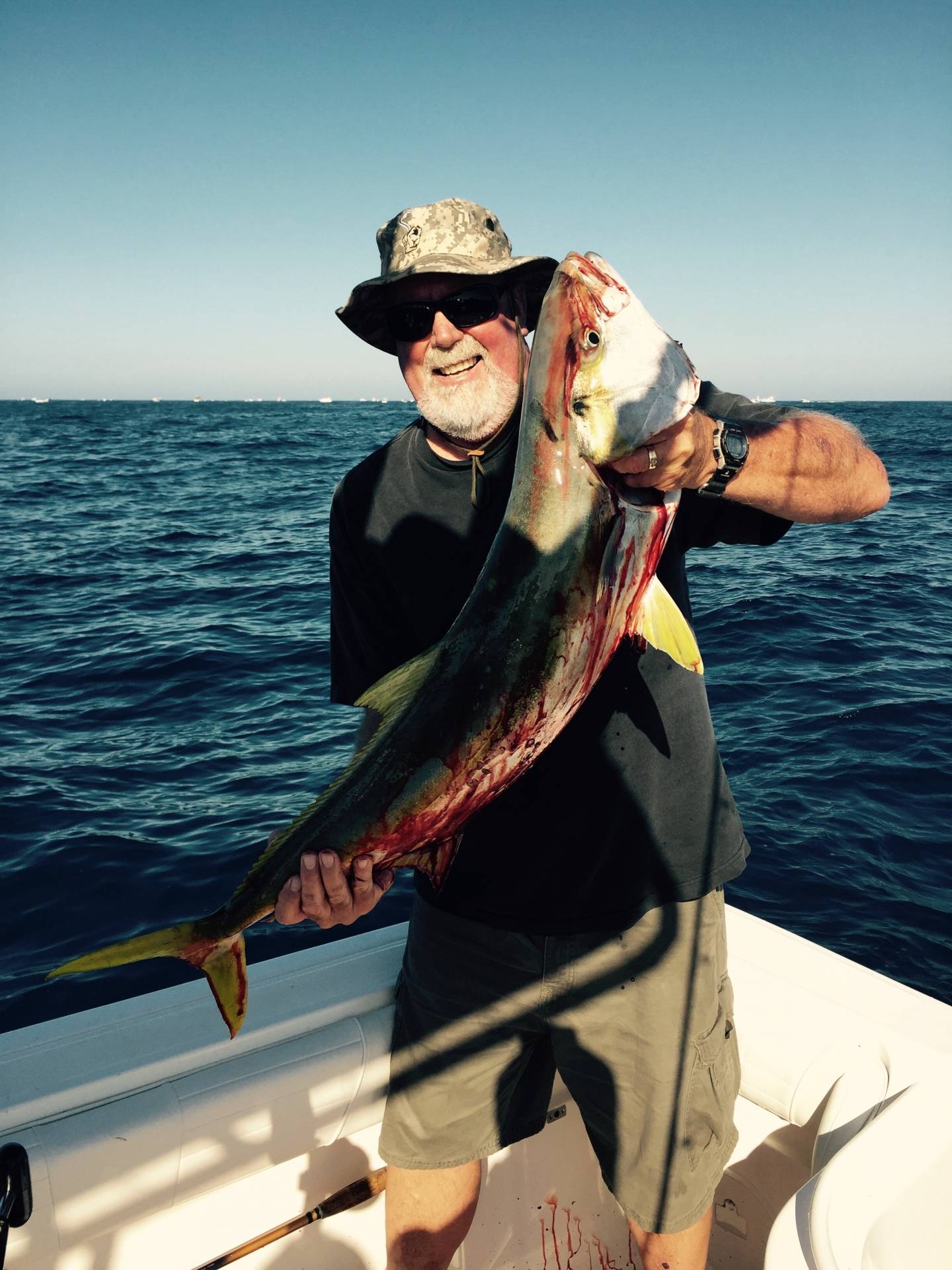 Offshore Yellowtail at the horseshoe kelp Bloodydecks