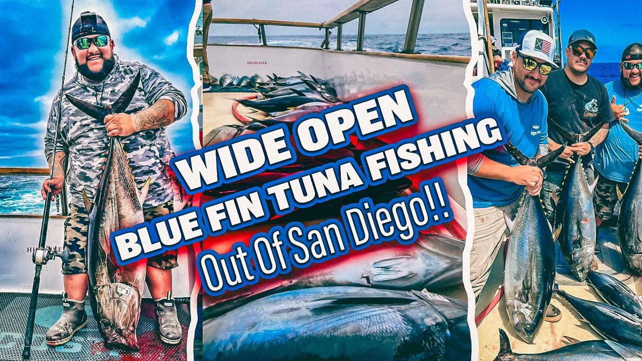 Blue Fin Tuna Limits!!! Bloodydecks