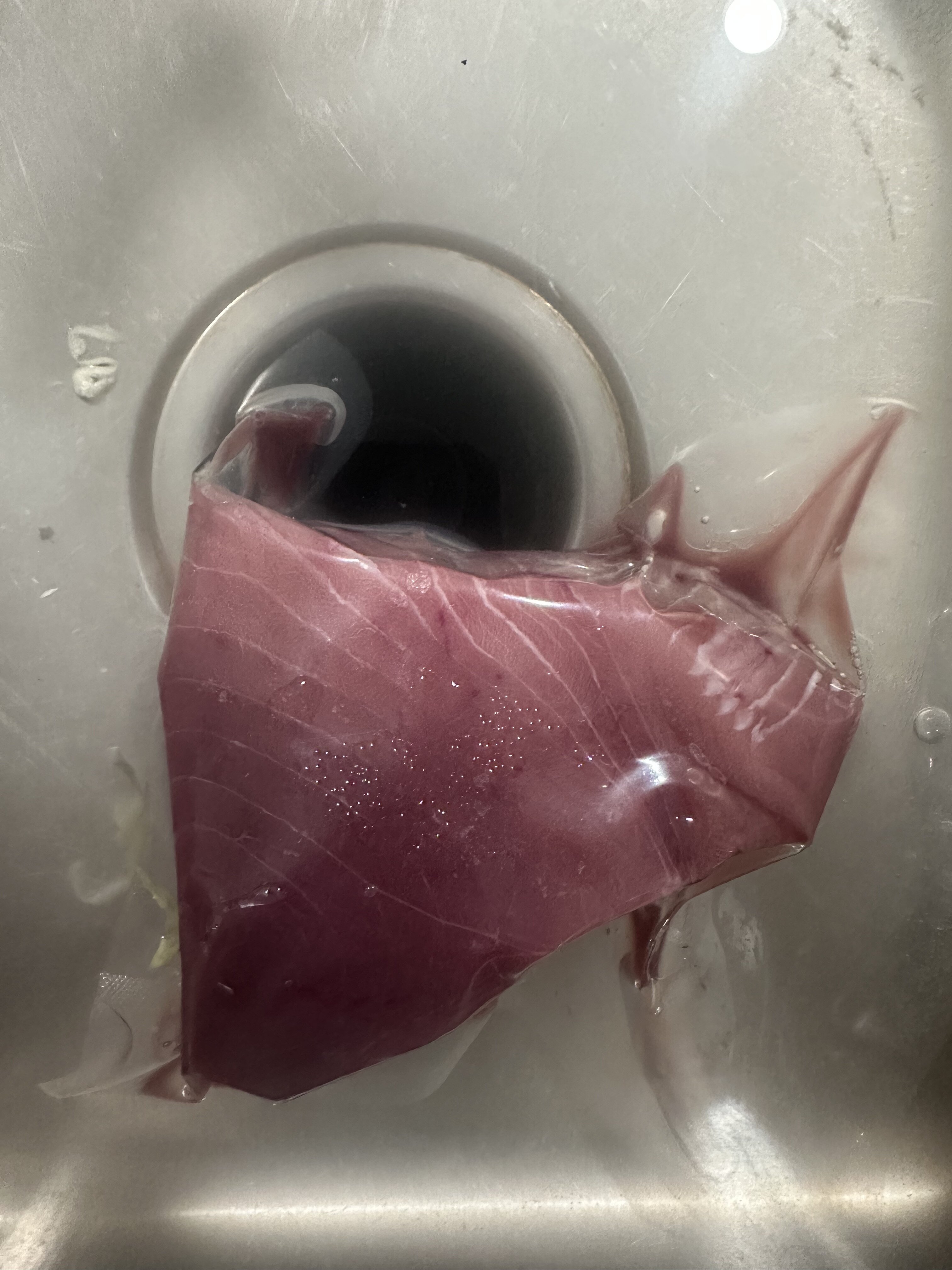 Vacuum Sealed Tuna Appearance Question Bloodydecks