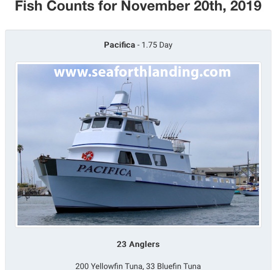 Feedback on Pacifica out of Seaforth Bluefin Bloodydecks