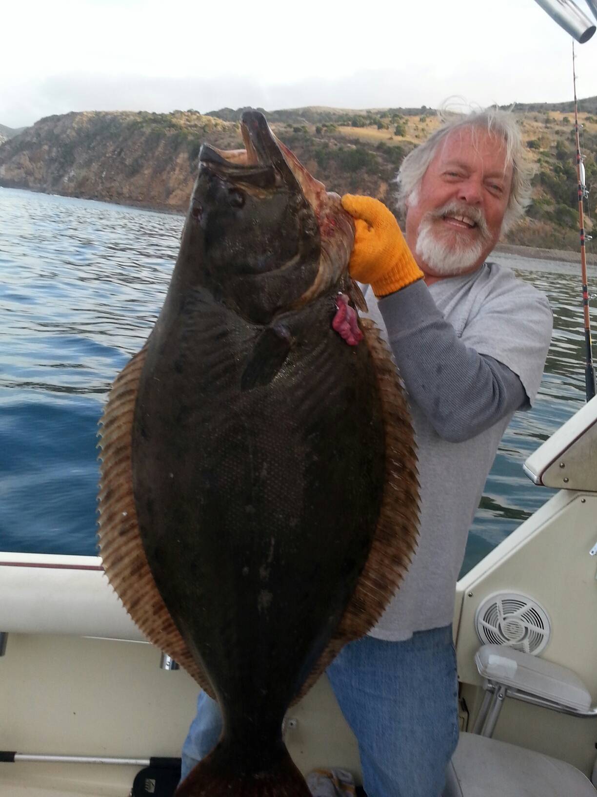 Great Halibut fishing Sunday and Lapaz Bloodydecks