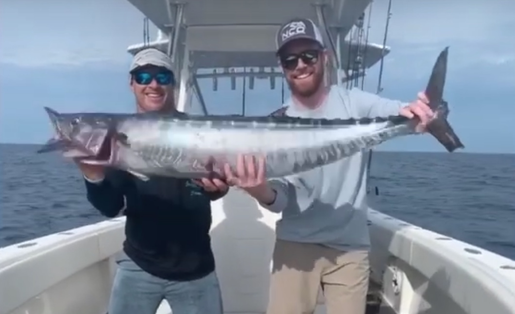 Wahoo are dangerous. Bloodydecks