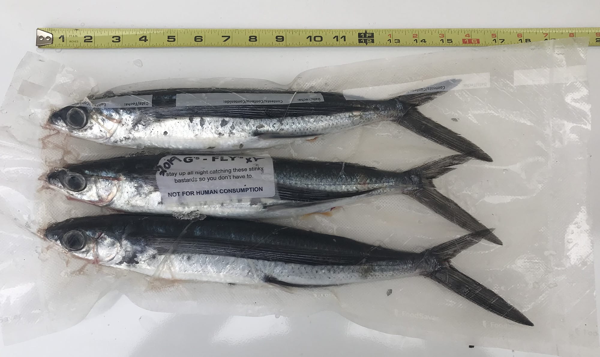 G Fly Flying Fish Baits Now Available At Local Shops Bloodydecks