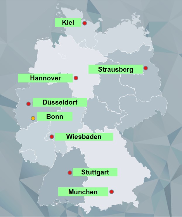 Pioniere in der Bund Deutscher Pioniere e.V.